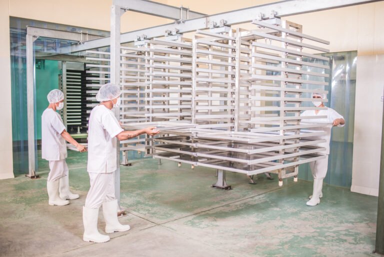 acondicionamiento fruta sanshin