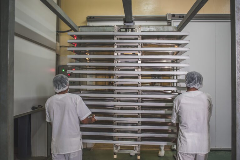 proceso camara golpe camu camu sanshin