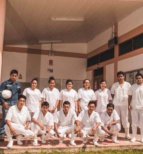 equipo agricola sanshin cuidado fruta